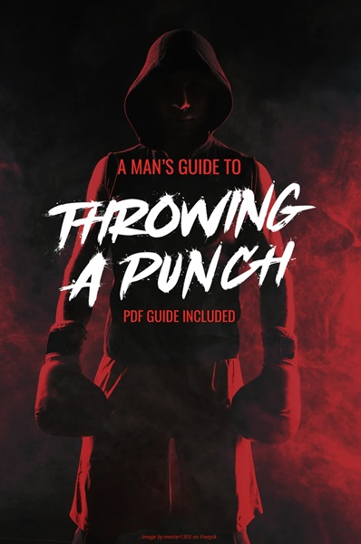 A Man's Guide to Throwing a Punch by Firas Zahabi.jpg